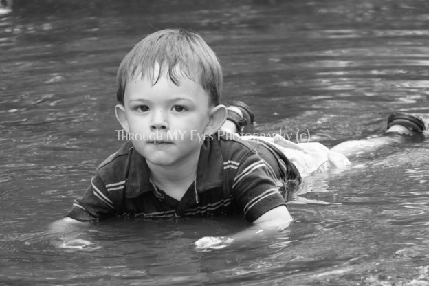img_78862c_lg