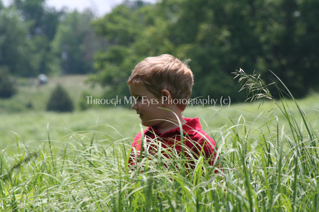 img_5032c_lg